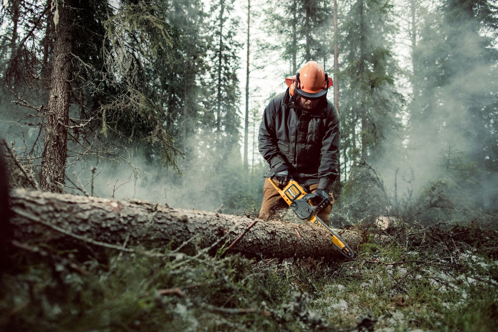 Person sägt mit einer DEWALT Kettensäge einen umgefallenen Baum im nebligen Wald und trägt Schutzkleidung.